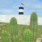 farol-jericoacoara farol-jericoacoara